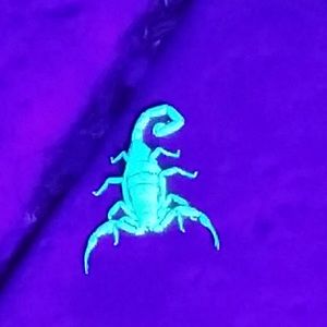 Meet your Posher, Sofia